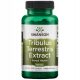 Extract de Tribulus Terrestris Swanson 500mg, 60 Capsule - Potență și Libido