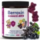 Jeleuri Berroxin® fără zahăr pentru susținerea imunității – 60 bucăți