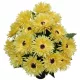 Aranjament Floral pentru Mormânt cu Astra Galbenă în Vază de Plastic