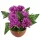 Vasă Decorativă de Toamnă cu Crizanteme Violet și Ferigi 25 x 24 cm