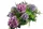 Compoziție Florală Funerară Naturală, Nuante de Violet și Verde
