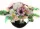 Compoziție Florală Elegantă pentru Toți Sfinții - În Nuanțe de Crem și Violet