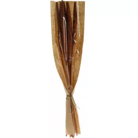 Buchet Decorativ Uscat Natura B Mix, Înălțime 60 cm