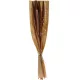 Buchet Decorativ Uscat Natura B Mix, Înălțime 60 cm