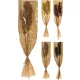 Buchet Decorativ Uscat Natura C Mix - Înălțime 60 cm