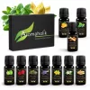 Set de uleiuri parfumate Aromaholik 10 × 10 ml