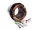 STATOR 85mm GENERATOAR 12V 380V