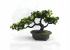 Bonsai artificial în ghiveci VA-1430293642 20 cm