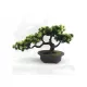 Bonsai artificial în ghiveci VA-1430293642 20 cm