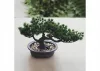 Bonsai artificial în ghiveci VA-1430293642 20 cm