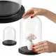 Cupolă de sticlă neagră SCENA LIVING AURA, 30 cm