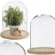 Cupolă decorativă din sticlă Atmosphera 136614A, 29,5 cm