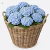 Coș decorativ din nuiele cu folie, diametru aproximativ 39 cm