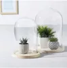 Cupolă de sticlă Atmosphera 136615A cu bază din lemn, 26 cm