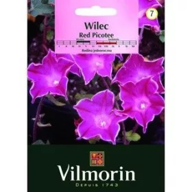  SCARLET WILLE 1 g CREEPER ROSIU FRUMOS 'L