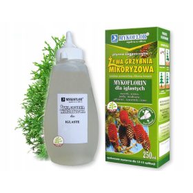  Micorize pentru miceliul CONIFERE