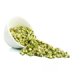  Seminte normale 250 g