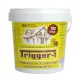  TRIGGER-1 100 ACTIVATOR DE TRATARE FOSA SEPTICA BACTERII