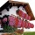  BROADCAST PELARGONIUM BLEND 0,1 g 'T