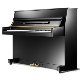  Pearl River - cel mai bun pian pentru începători