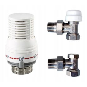  SET TERMOSTATIC UNG 1/2 SUPPAPE RADIATOR + CAP