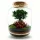 Set DIY Mikroclimat pentru pădure în sticlă cu Ficus ginseng