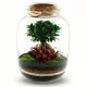 Set DIY Mikroclimat pentru pădure în sticlă cu Ficus ginseng