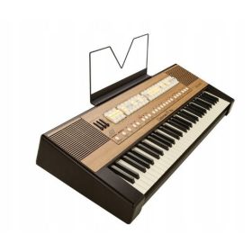  Vicontele Cantorum VI PLUS ORGANE BISERICII in 24 de ore