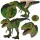 OUTLET Dinozaur T-rex Tiranozaur Figura Mare Mobila Falca 27 Cm DEFECTAT