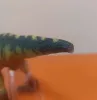 OUTLET Dinozaur T-rex Tiranozaur Figura Mare Mobila Falca 27 Cm DEFECTAT
