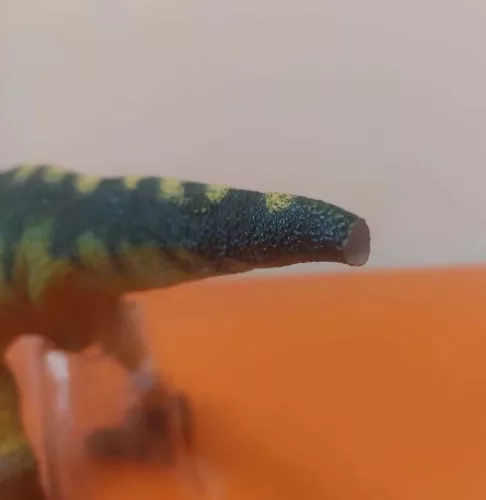 OUTLET Dinozaur T-rex Tiranozaur Figura Mare Mobila Falca 27 Cm DEFECTAT